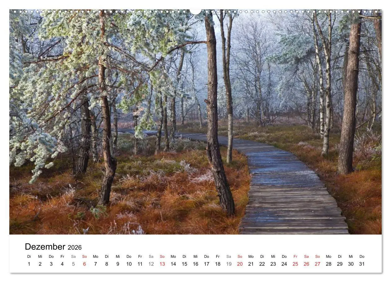 Bild: 9783457947920 | Auf neuen Wegen (Wandkalender 2026 DIN A2 quer), CALVENDO...