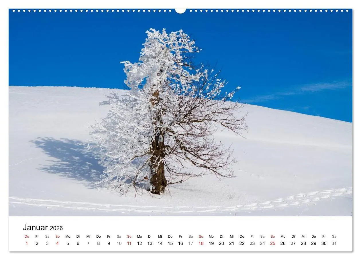 Bild: 9783457947920 | Auf neuen Wegen (Wandkalender 2026 DIN A2 quer), CALVENDO...