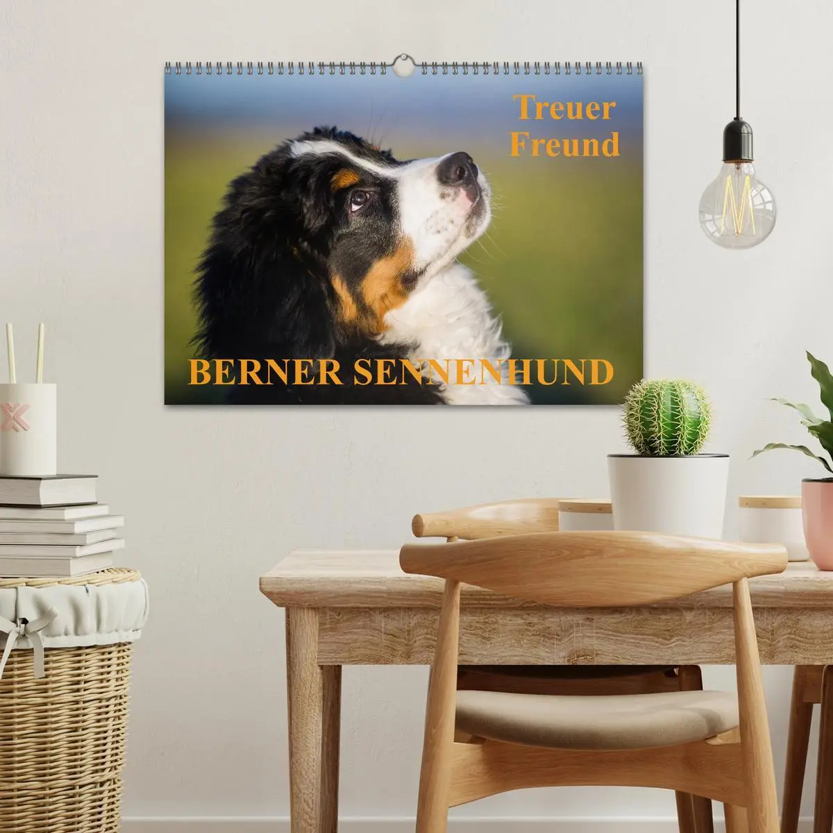 Bild: 9783516107920 | Treuer Freund Berner Sennenhund (Wandkalender 2026 DIN A3 quer),...