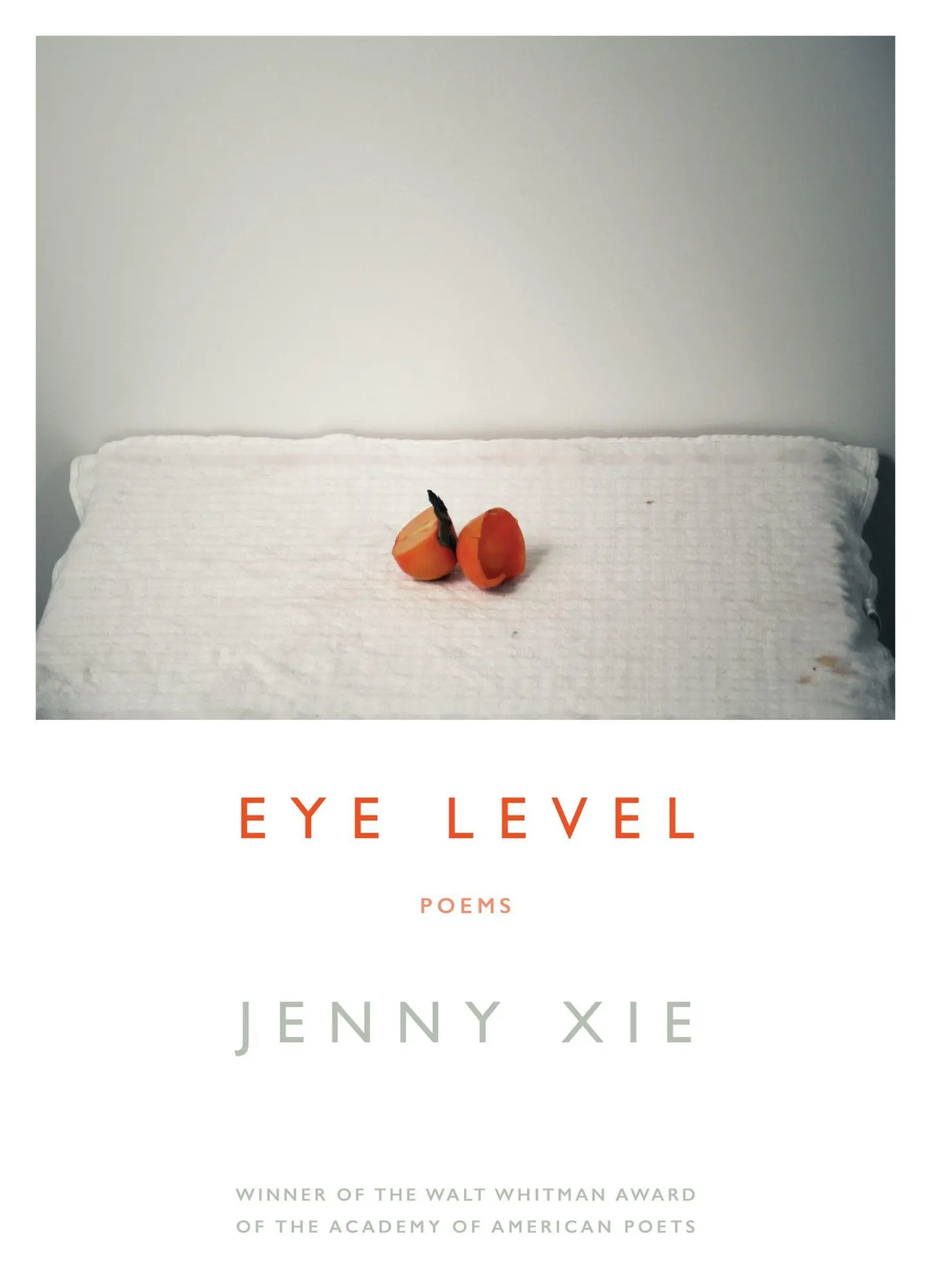 Cover: 9781555978020 | Eye Level | Poems | Jenny Xie | Taschenbuch | Englisch | 2018