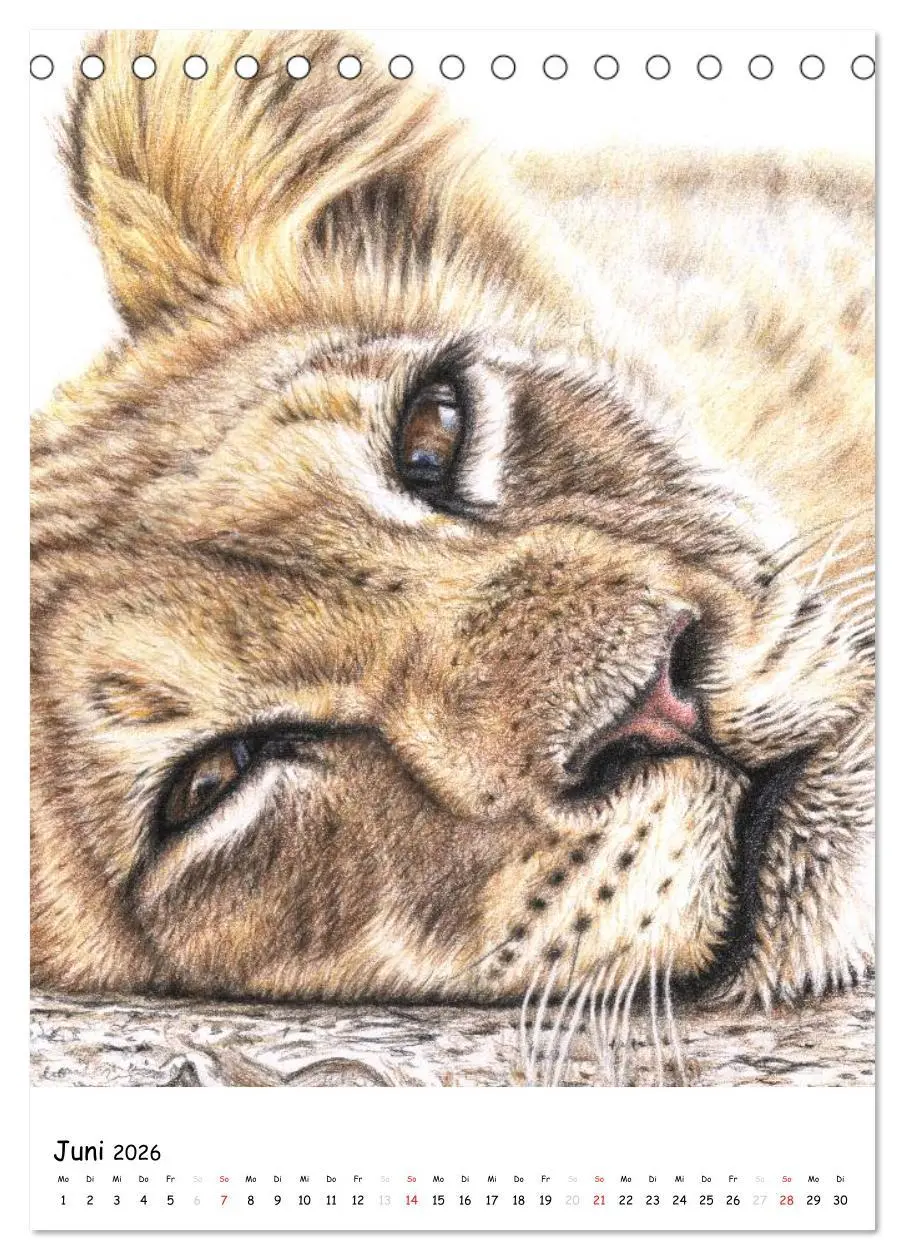 Bild: 9783516478020 | Wildlife Portraits (Tischkalender 2026 DIN A5 hoch), CALVENDO...
