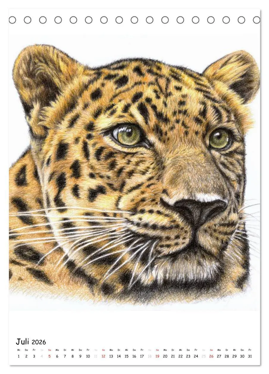 Bild: 9783516478020 | Wildlife Portraits (Tischkalender 2026 DIN A5 hoch), CALVENDO...
