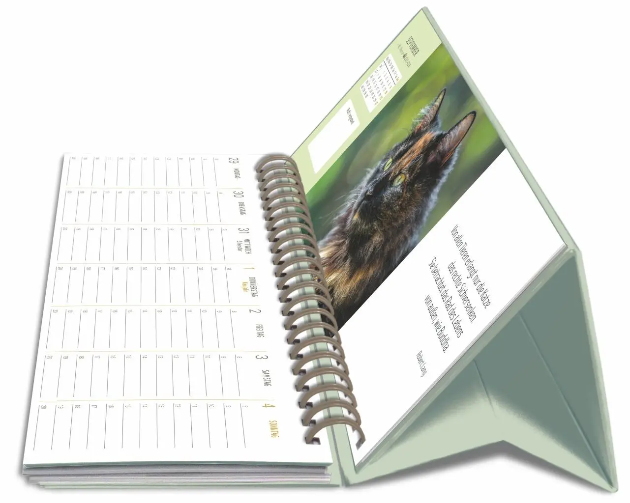Bild: 9783840038020 | Katzen Premium-Tischplaner 2026 - Der literarische Wochenkalender...