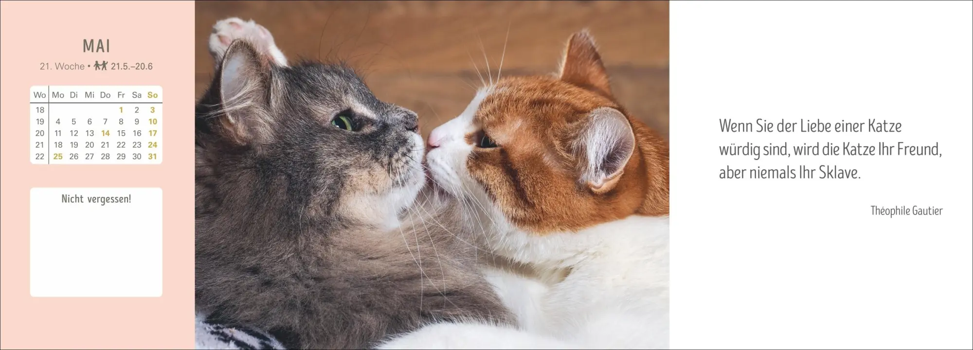 Bild: 9783840038020 | Katzen Premium-Tischplaner 2026 - Der literarische Wochenkalender...