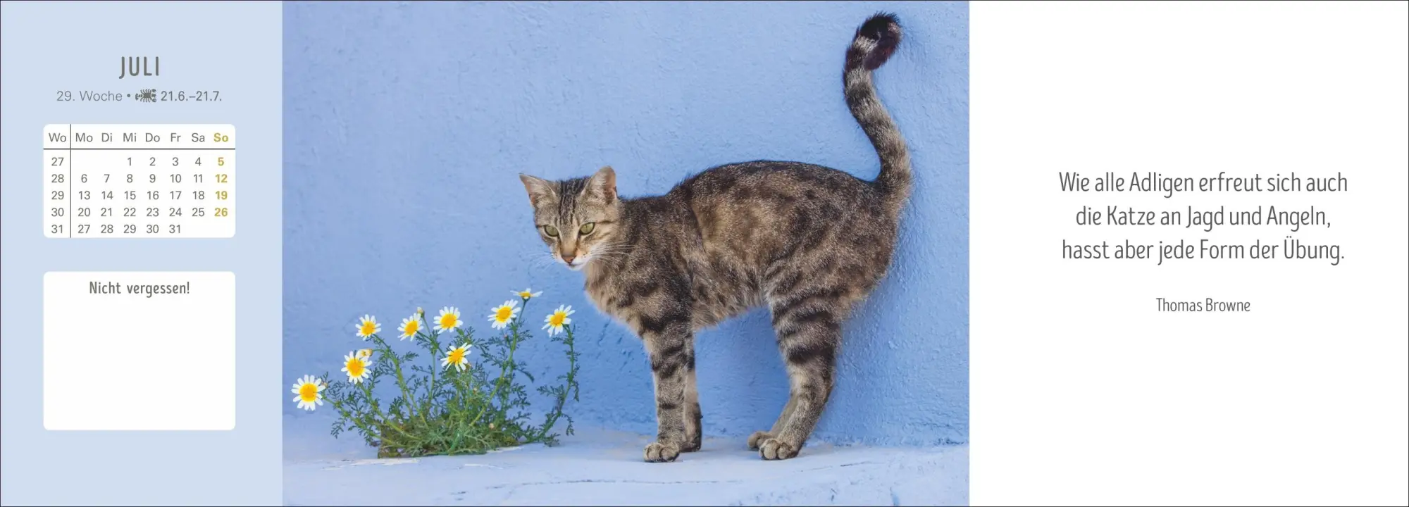 Bild: 9783840038020 | Katzen Premium-Tischplaner 2026 - Der literarische Wochenkalender...