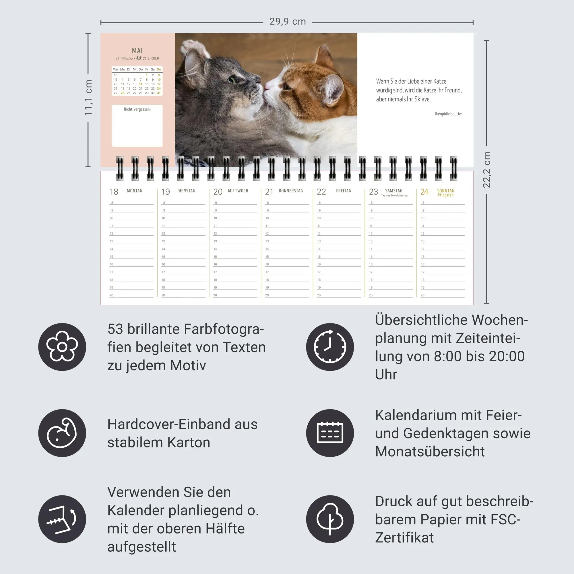 Bild: 9783840038020 | Katzen Premium-Tischplaner 2026 - Der literarische Wochenkalender...