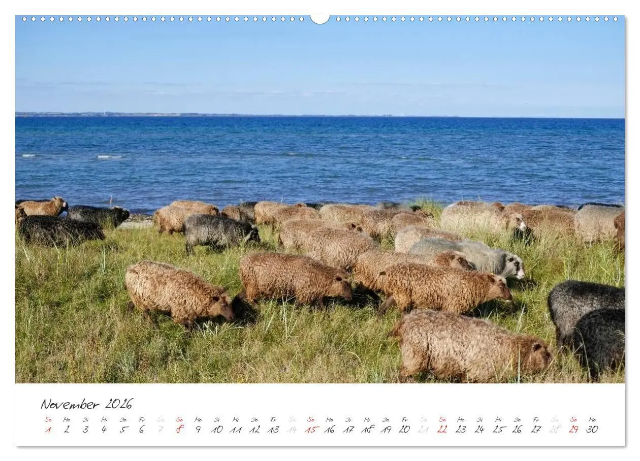 Bild: 9783516088120 | Geltinger Birk (Wandkalender 2026 DIN A2 quer), CALVENDO...