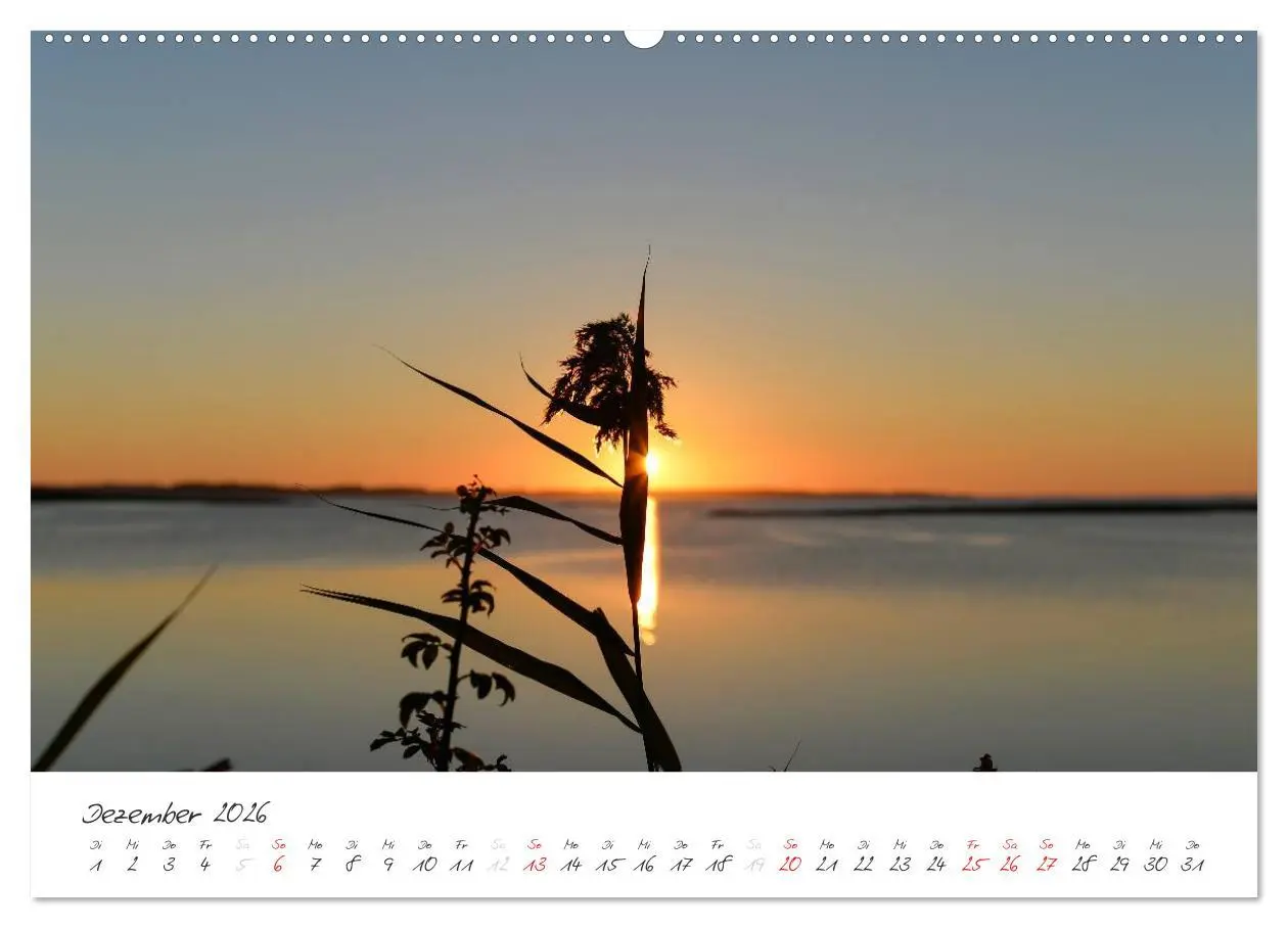 Bild: 9783516088120 | Geltinger Birk (Wandkalender 2026 DIN A2 quer), CALVENDO...