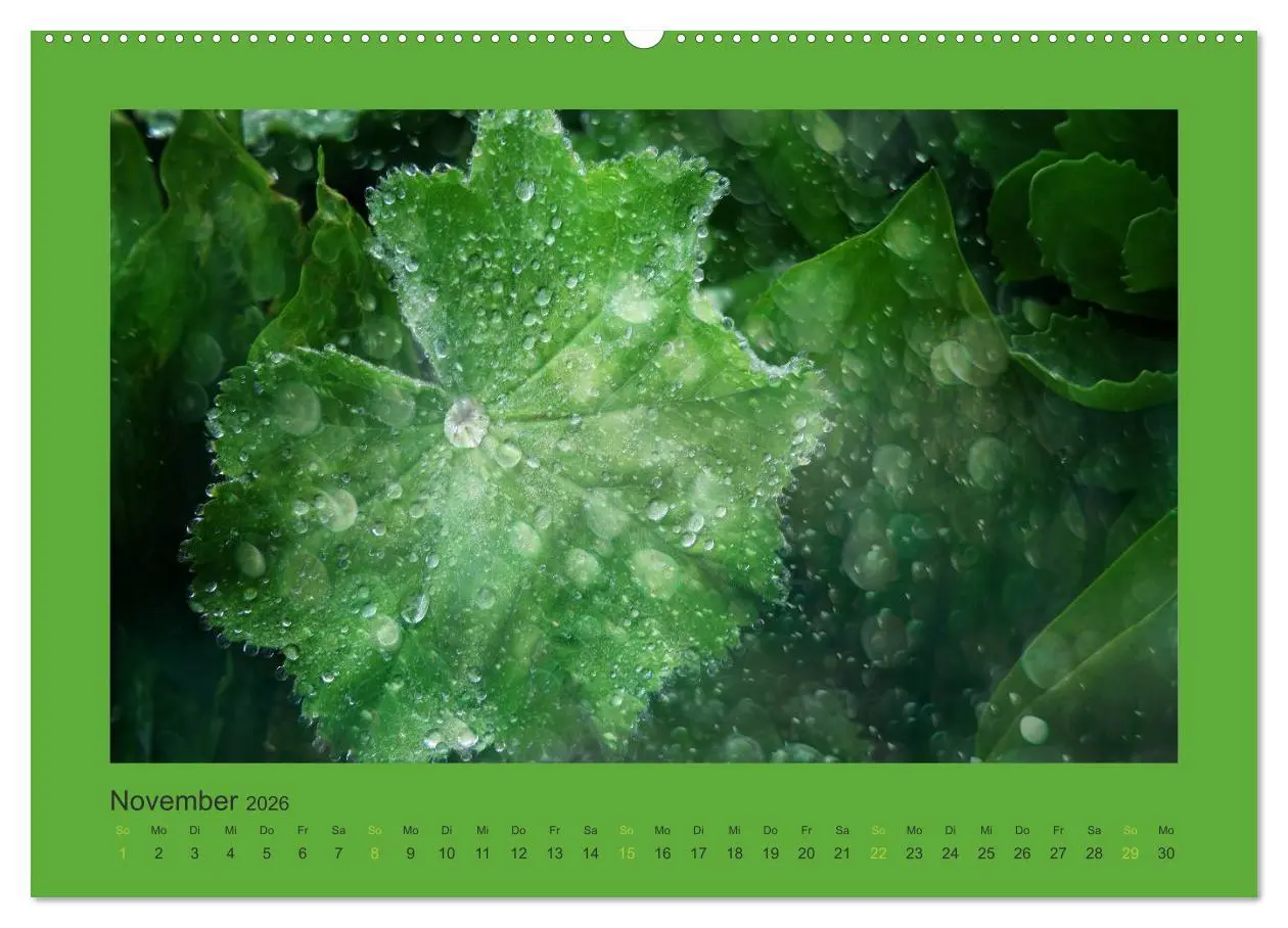 Bild: 9783516228120 | 12 Farben (Wandkalender 2026 DIN A2 quer), CALVENDO Monatskalender