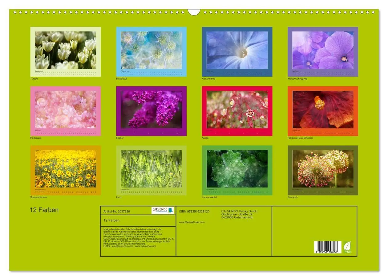 Bild: 9783516228120 | 12 Farben (Wandkalender 2026 DIN A2 quer), CALVENDO Monatskalender