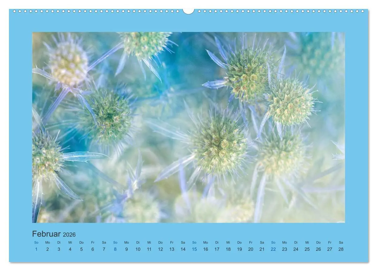 Bild: 9783516228120 | 12 Farben (Wandkalender 2026 DIN A2 quer), CALVENDO Monatskalender