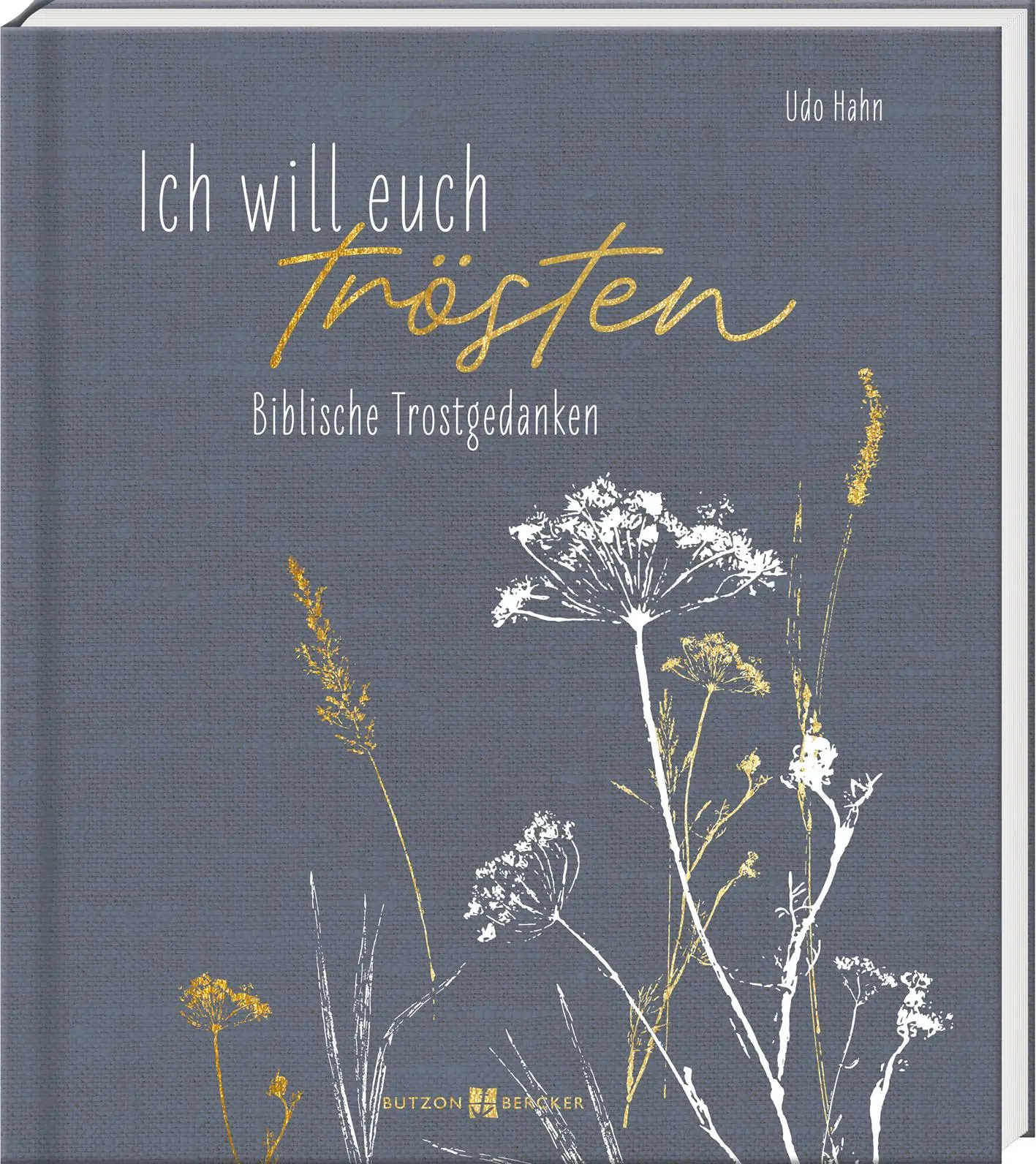 Cover: 9783766638120 | Ich will euch trösten | Biblische Trostgedanken | Udo Hahn | Buch