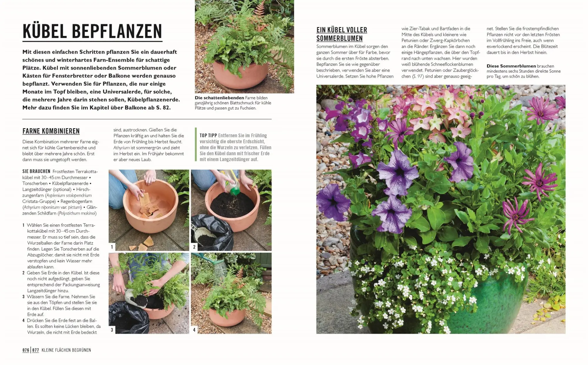 Bild: 9783831048120 | Grünes Gartenwissen. Kleine Gärten optimal gestaltet | Zia Allaway
