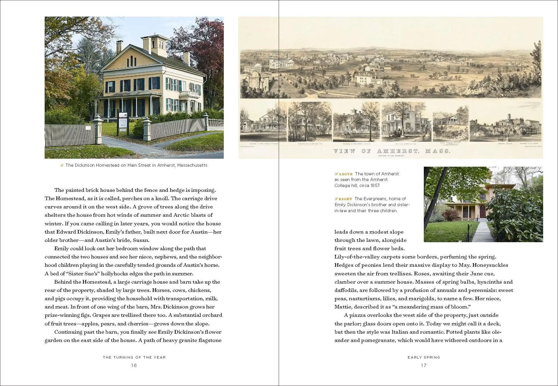 Bild: 9781604698220 | Emily Dickinson's Gardening Life | Marta Mcdowell | Buch | Gebunden Bild: 9781604698220 | Emily Dickinson's Gardening Life | Marta Mcdowell | Buch | Gebunden