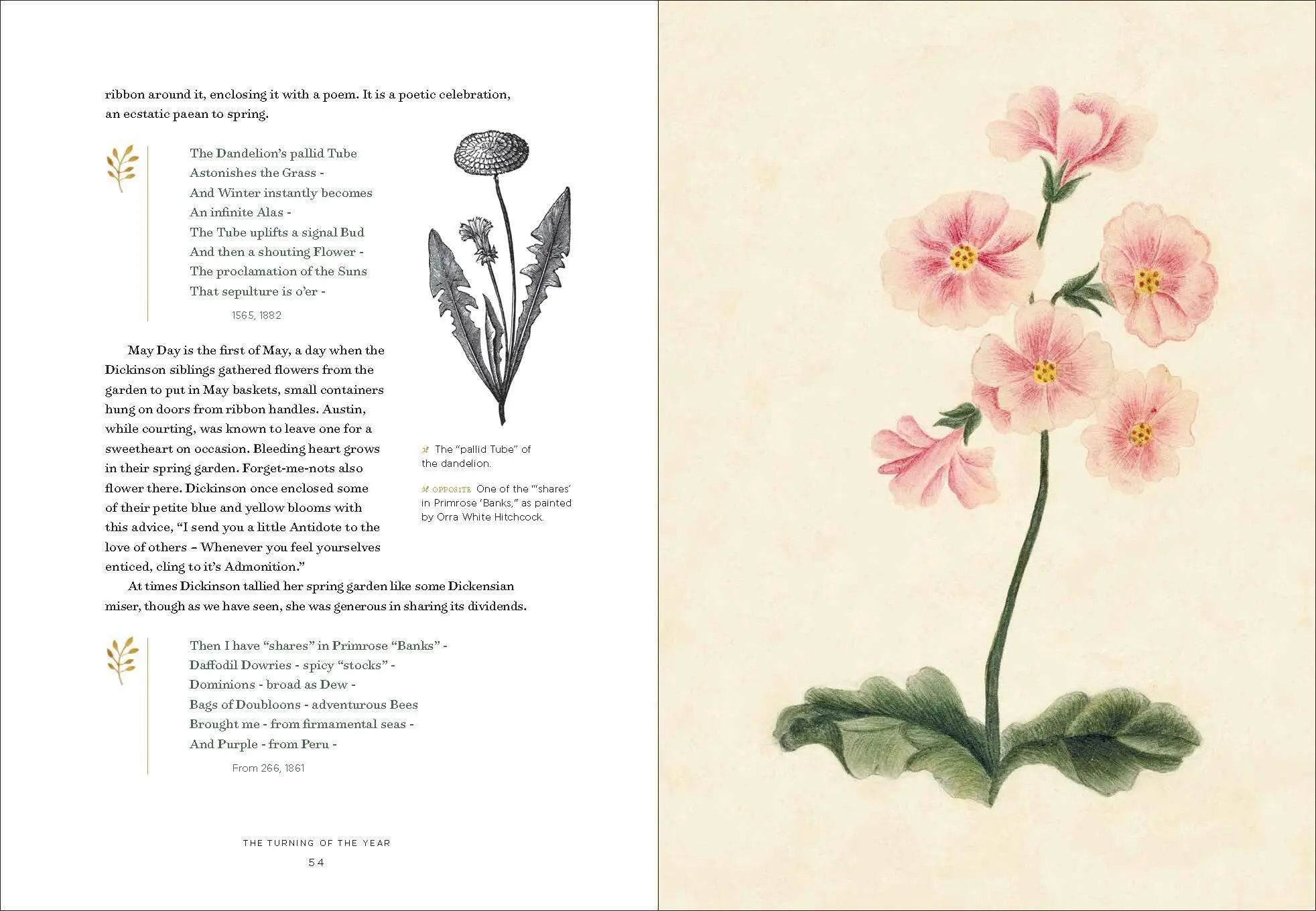 Bild: 9781604698220 | Emily Dickinson's Gardening Life | Marta Mcdowell | Buch | Gebunden Bild: 9781604698220 | Emily Dickinson's Gardening Life | Marta Mcdowell | Buch | Gebunden