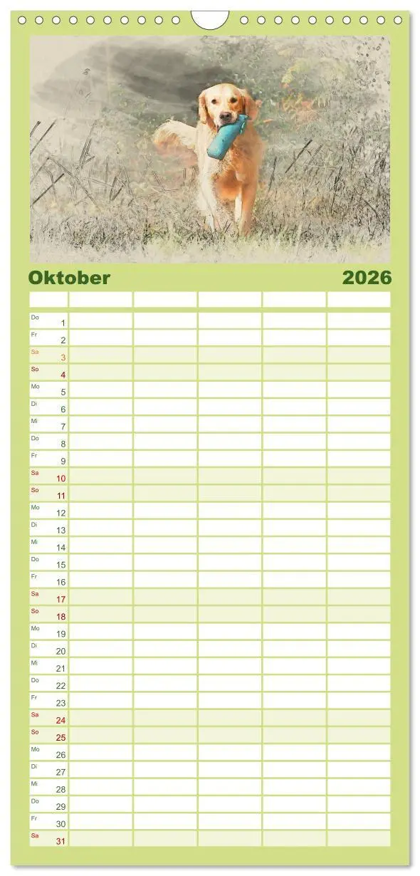 Bild: 9783516518320 | Familienplaner 2026 - Golden Retriever mit 5 Spalten (Wandkalender,...