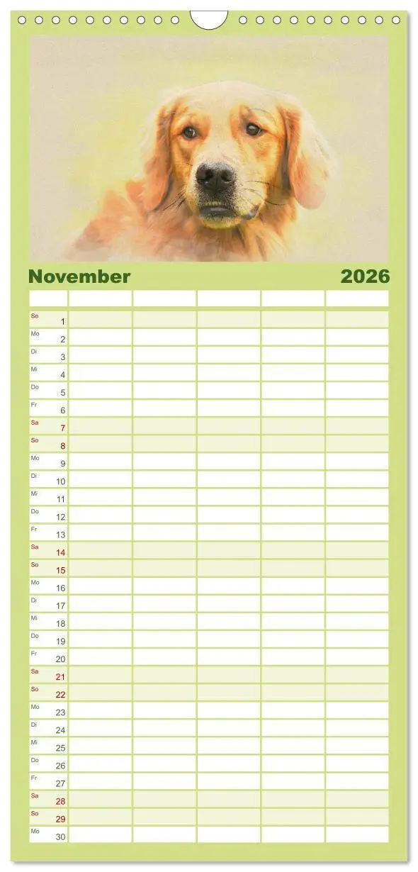 Bild: 9783516518320 | Familienplaner 2026 - Golden Retriever mit 5 Spalten (Wandkalender,...