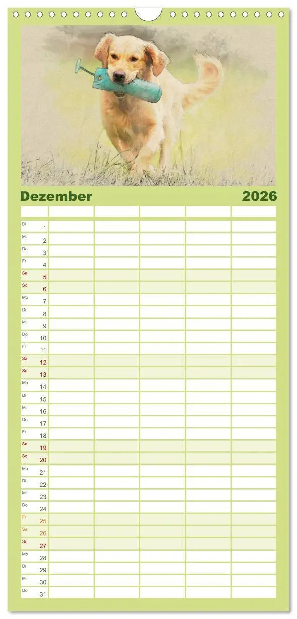 Bild: 9783516518320 | Familienplaner 2026 - Golden Retriever mit 5 Spalten (Wandkalender,...