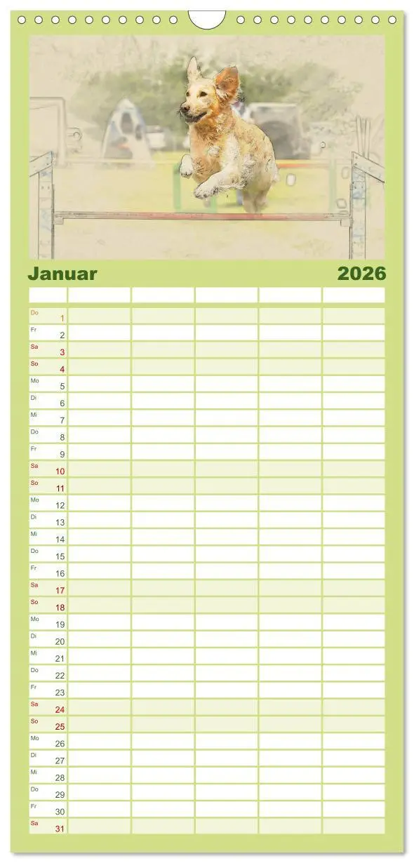 Bild: 9783516518320 | Familienplaner 2026 - Golden Retriever mit 5 Spalten (Wandkalender,...