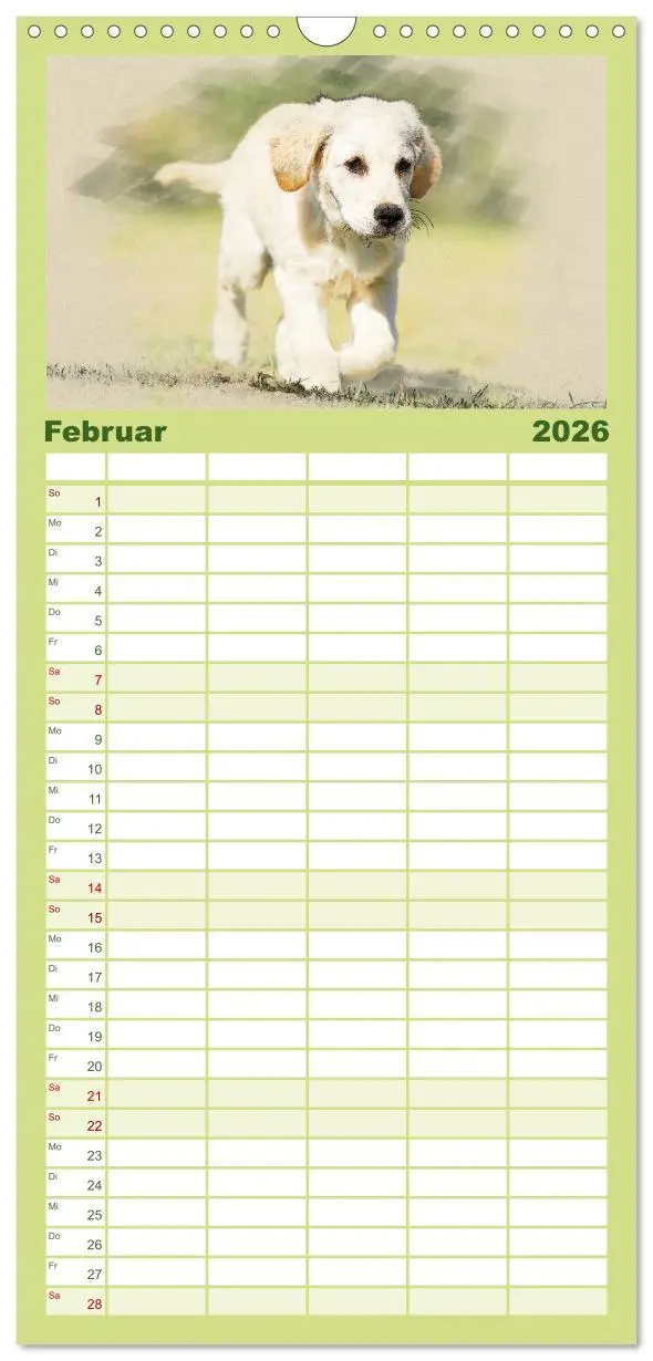 Bild: 9783516518320 | Familienplaner 2026 - Golden Retriever mit 5 Spalten (Wandkalender,...