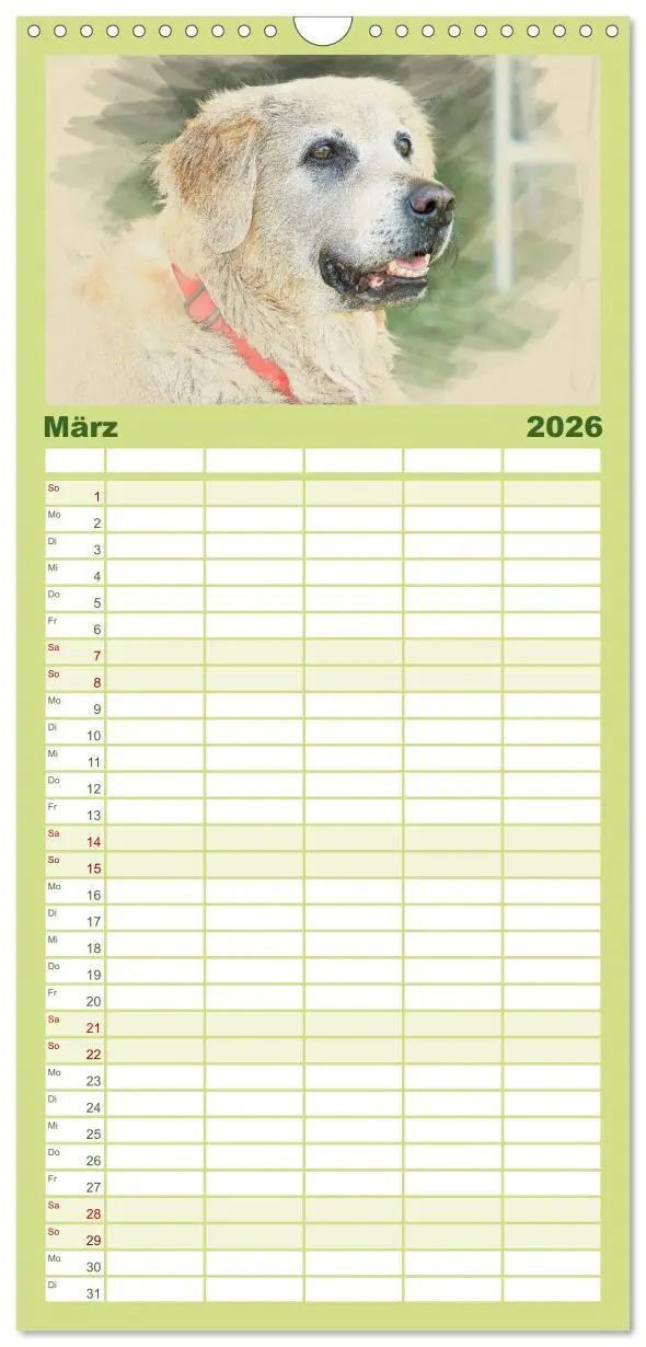 Bild: 9783516518320 | Familienplaner 2026 - Golden Retriever mit 5 Spalten (Wandkalender,...