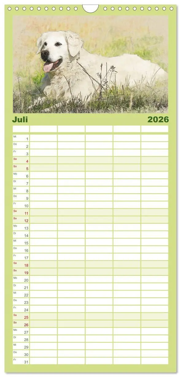 Bild: 9783516518320 | Familienplaner 2026 - Golden Retriever mit 5 Spalten (Wandkalender,...