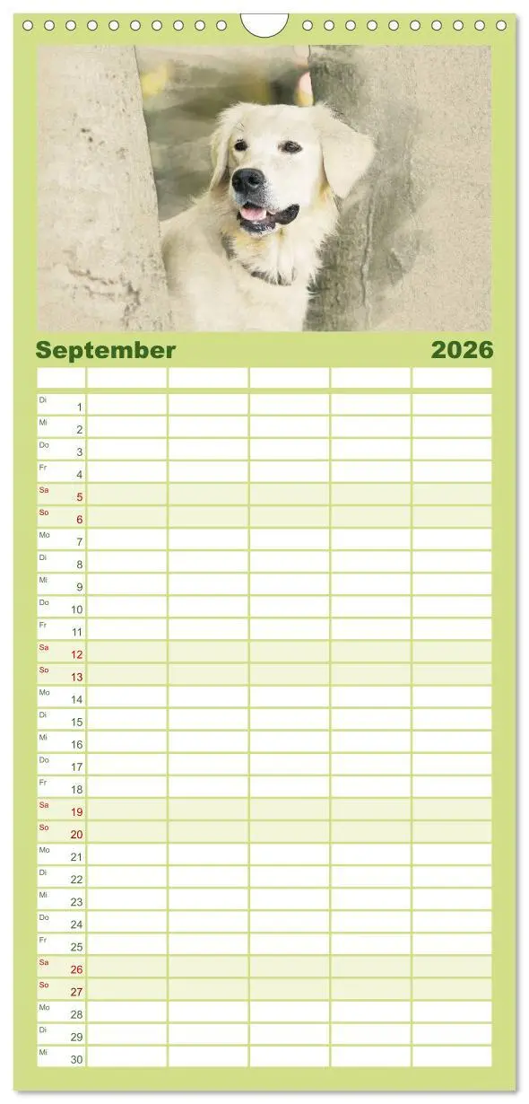 Bild: 9783516518320 | Familienplaner 2026 - Golden Retriever mit 5 Spalten (Wandkalender,...