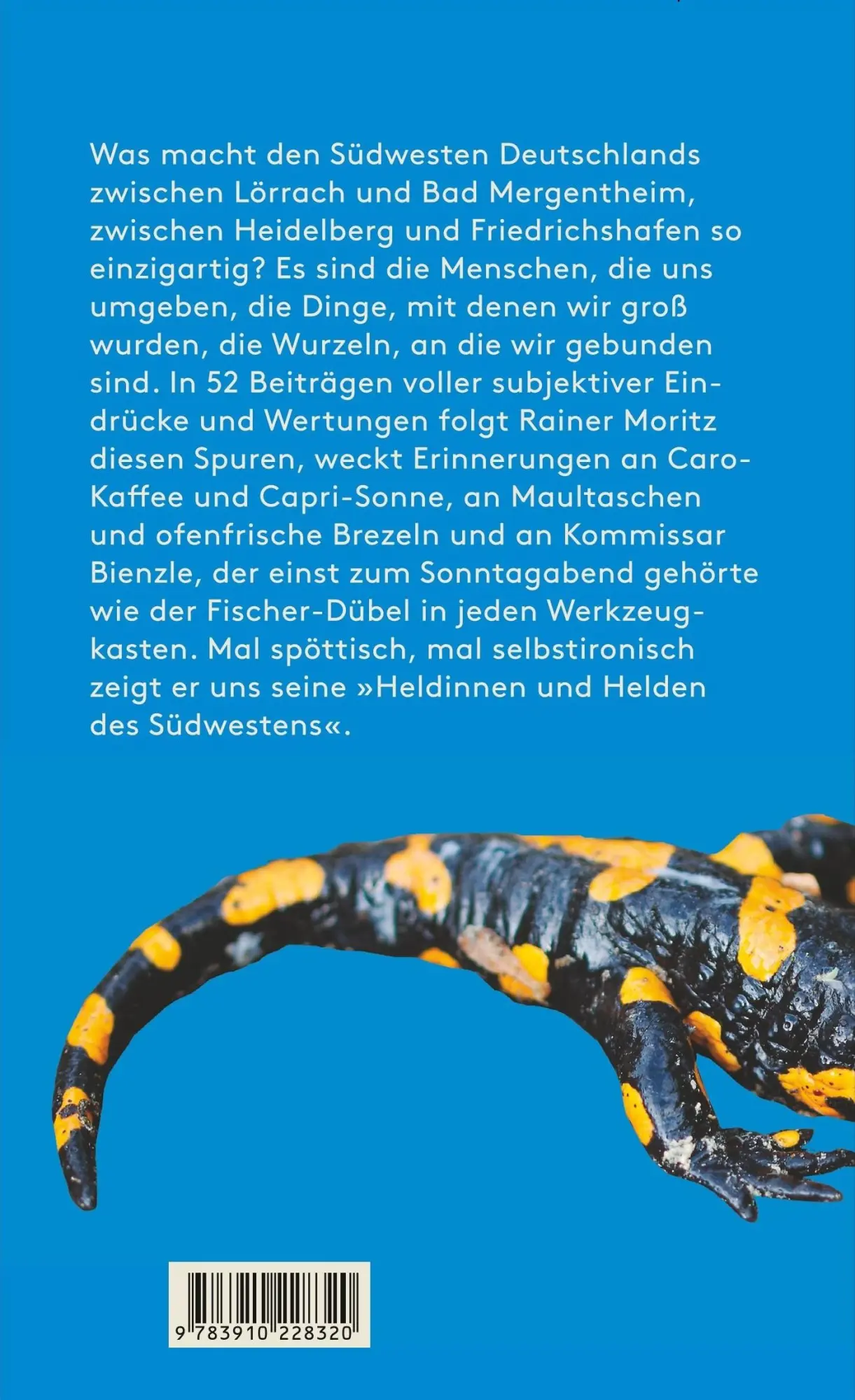 Rückseite: 9783910228320 | Heldinnen und Helden des Südwestens | Rainer Moritz | Buch | 240 S.