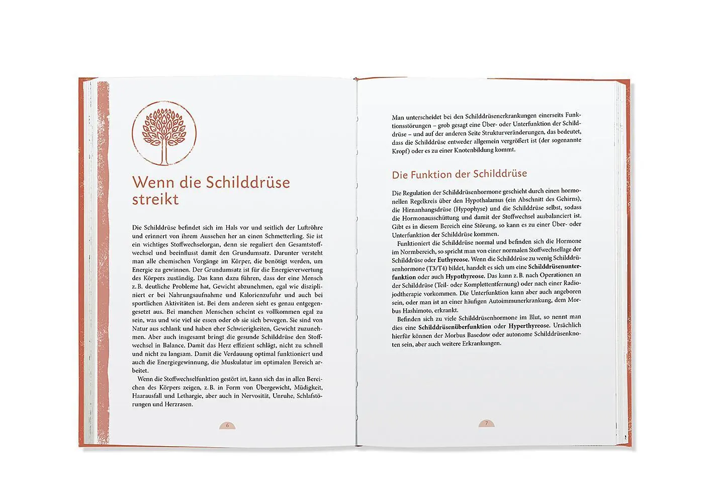 Bild: 9783426658420 | Hilfe bei Schilddrüsenerkrankungen | Claudia Hohmann (u. a.) | Buch