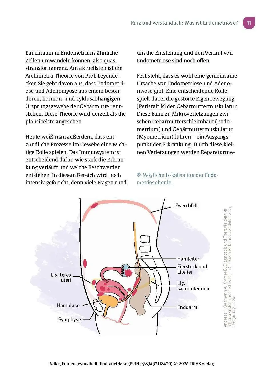 Bild: 9783432118420 | Frauengesundheit: Endometriose | Christine Adler | Taschenbuch | 2026