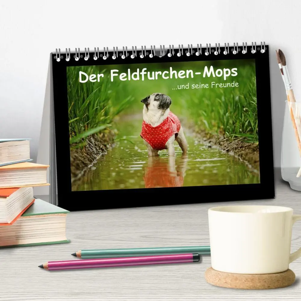 Bild: 9783435638420 | Der Feldfurchen-Mops (Tischkalender 2025 DIN A5 quer), CALVENDO...