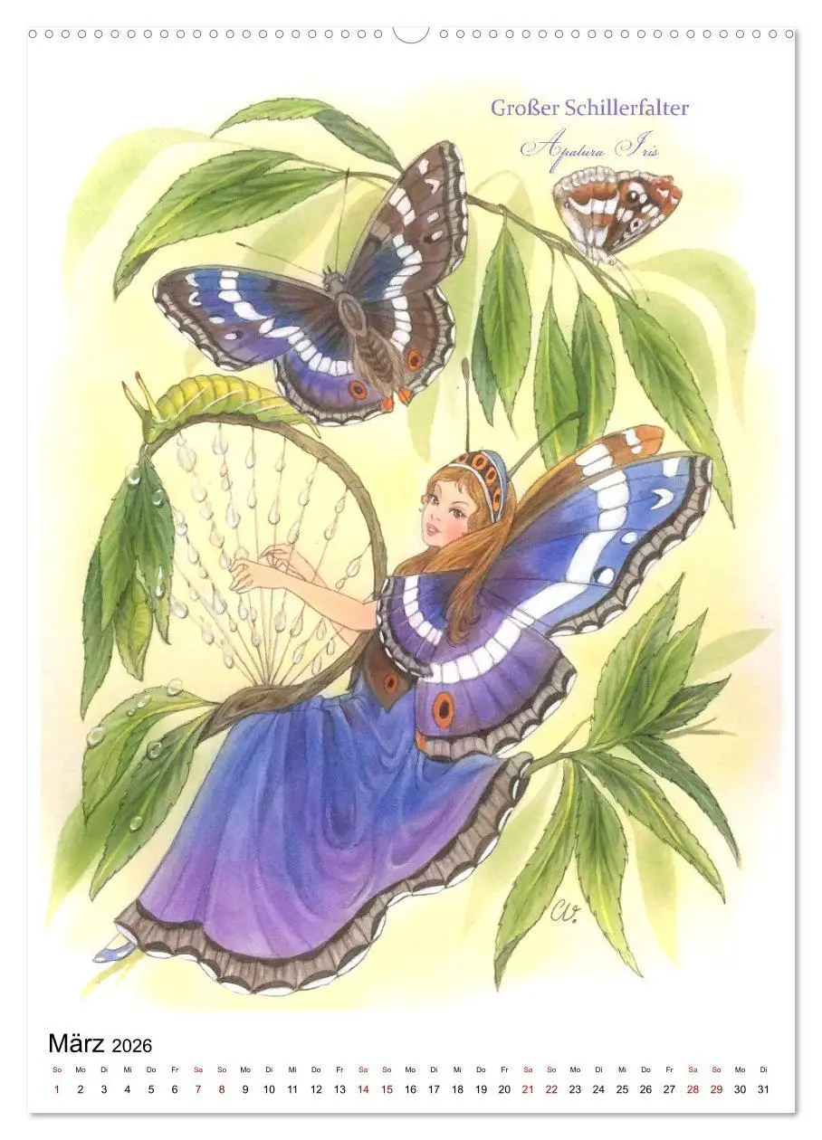 Bild: 9783516368420 | Schmetterlings-Elfen (Wandkalender 2026 DIN A2 hoch), CALVENDO...