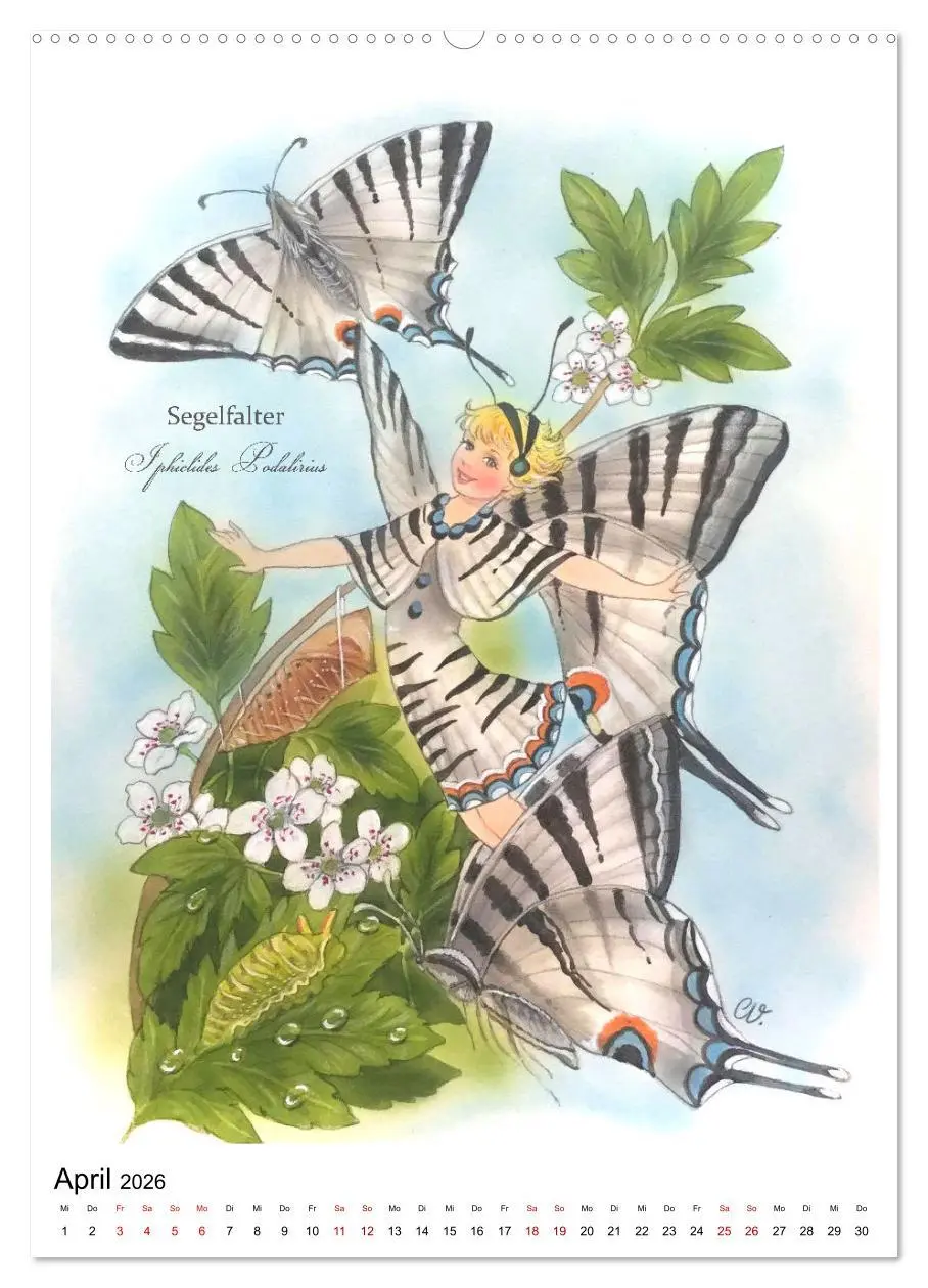 Bild: 9783516368420 | Schmetterlings-Elfen (Wandkalender 2026 DIN A2 hoch), CALVENDO...
