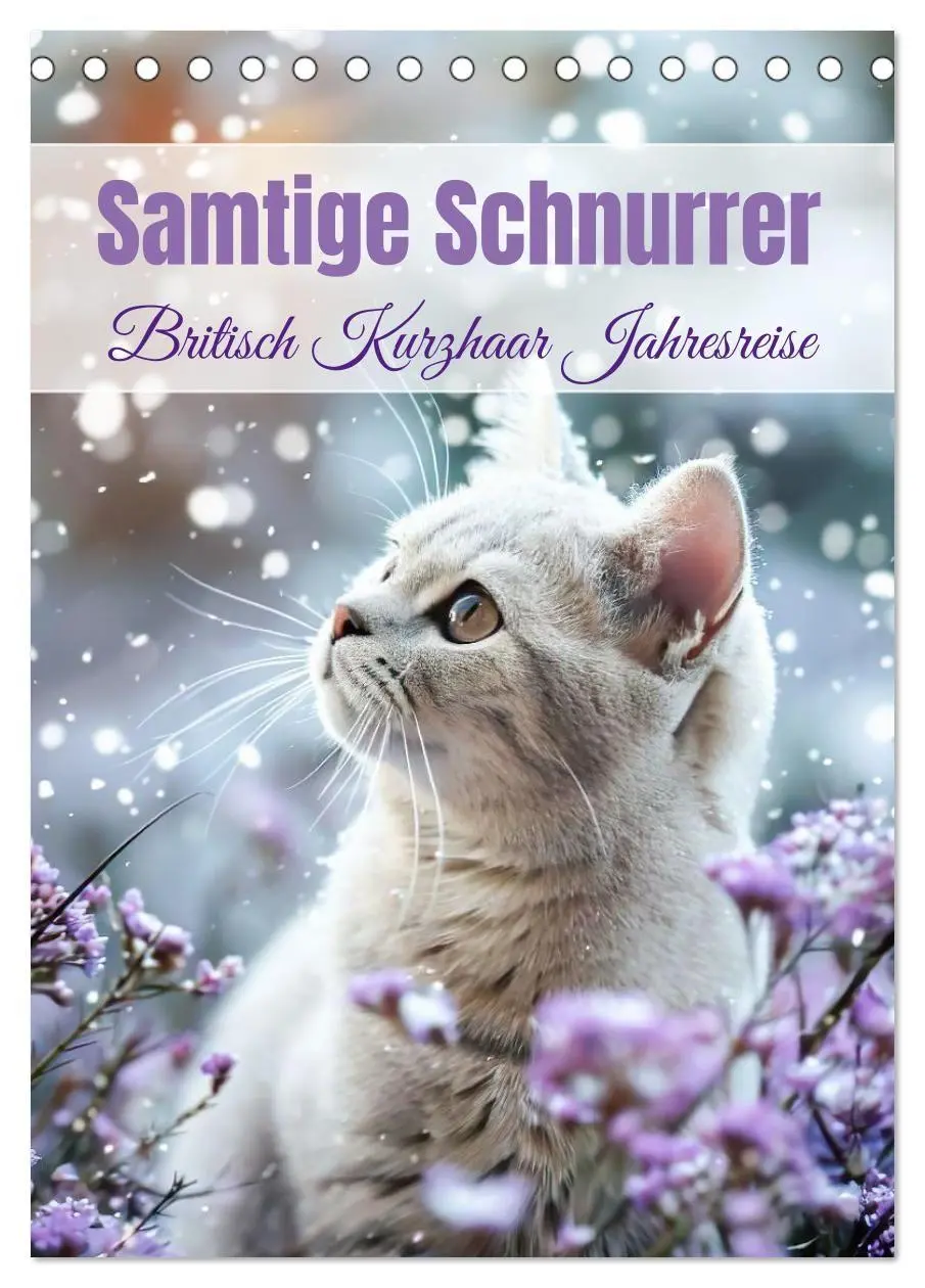 Cover: 9783516678420 | Samtige Schnurrer (Tischkalender 2026 DIN A5 hoch), CALVENDO...