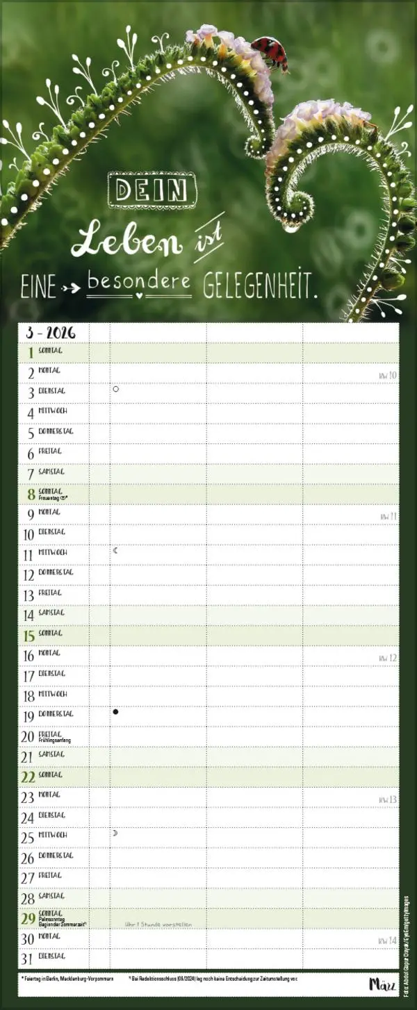 Bild: 9783731888420 | Hier und jetzt Timer für 2 2026 | Verlag Korsch | Kalender | 14 S.