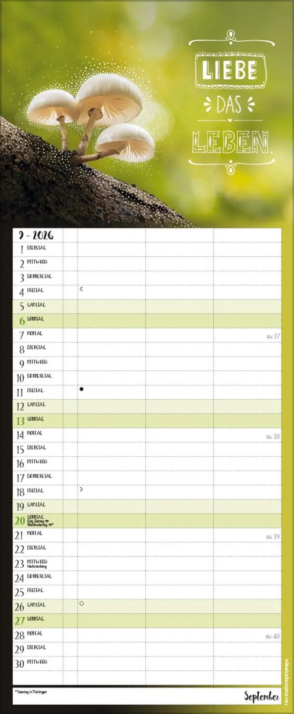 Bild: 9783731888420 | Hier und jetzt Timer für 2 2026 | Verlag Korsch | Kalender | 14 S.