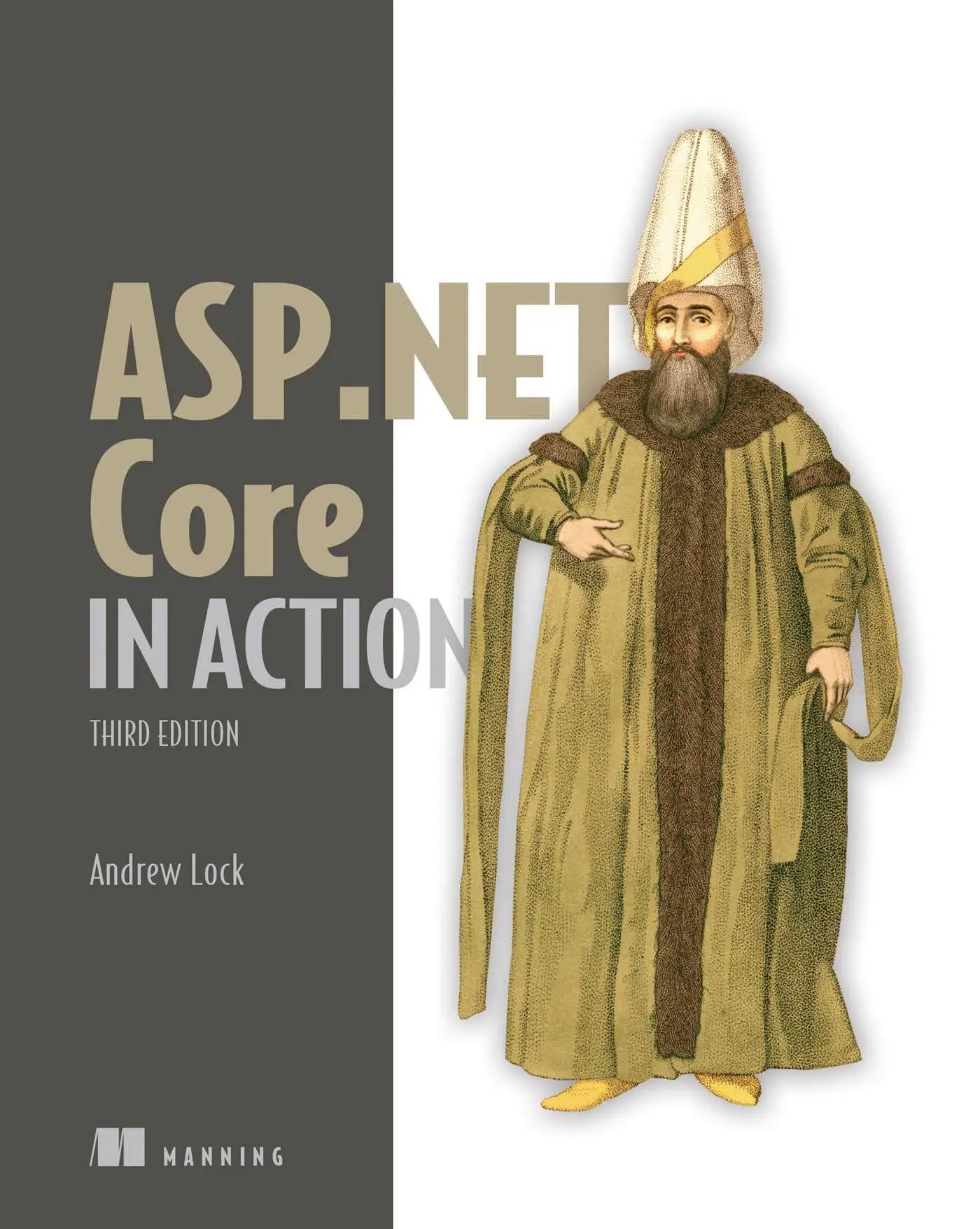 Cover: 9781633438620 | ASP.NET Core in Action, Third Edition | Andrew Lock | Taschenbuch