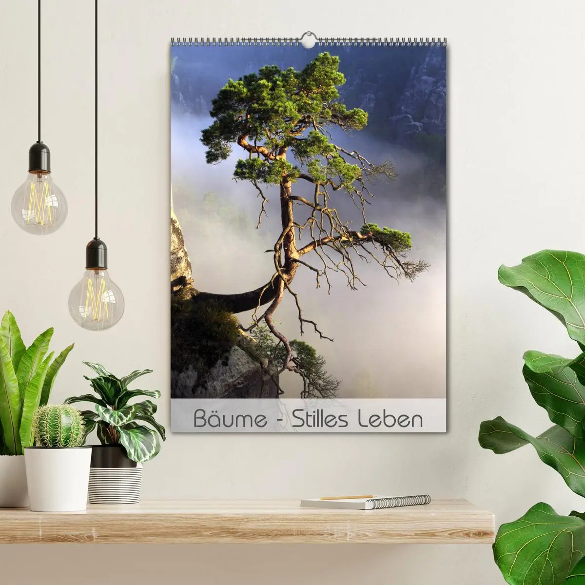 Bild: 9783516418620 | Bäume - Stilles Leben (Wandkalender 2026 DIN A2 hoch), CALVENDO...