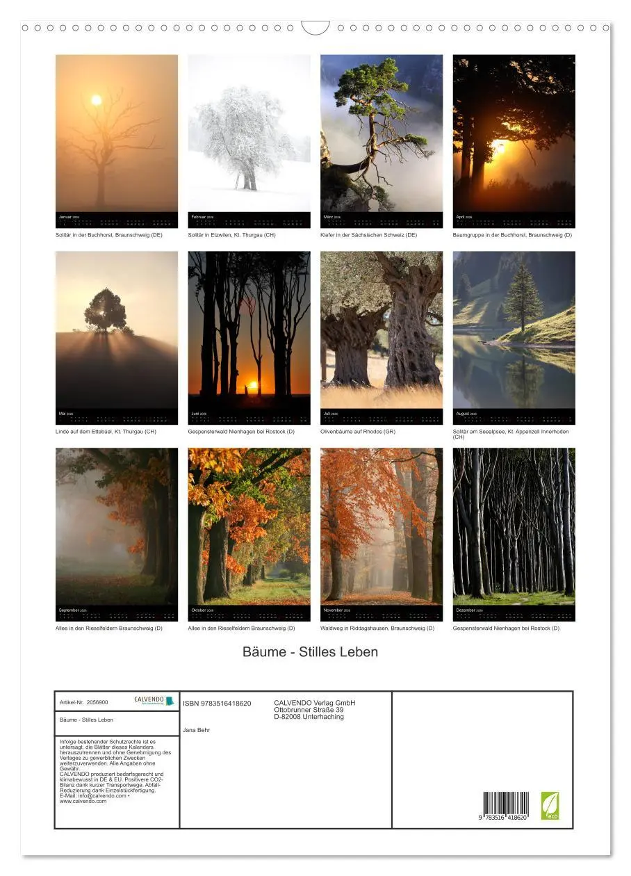 Bild: 9783516418620 | Bäume - Stilles Leben (Wandkalender 2026 DIN A2 hoch), CALVENDO...