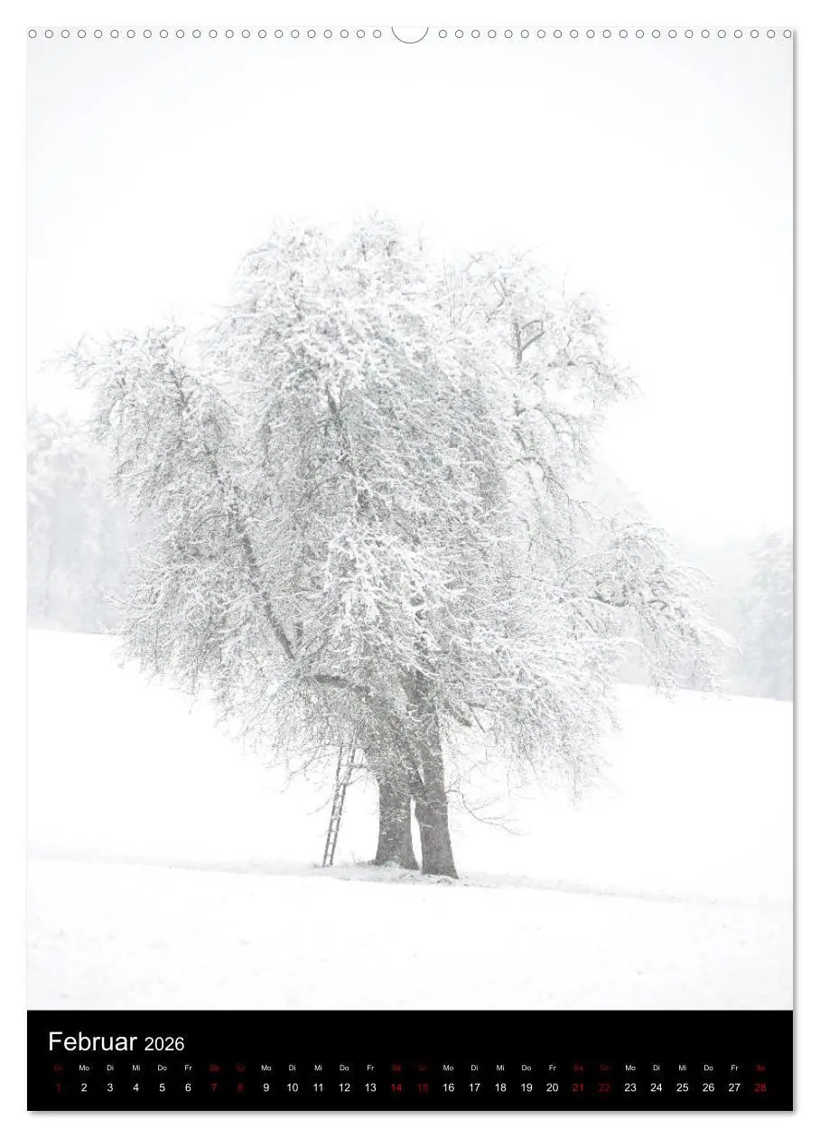 Bild: 9783516418620 | Bäume - Stilles Leben (Wandkalender 2026 DIN A2 hoch), CALVENDO...