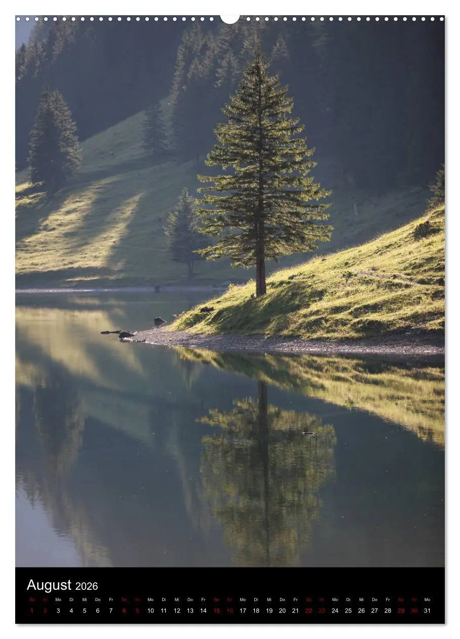 Bild: 9783516418620 | Bäume - Stilles Leben (Wandkalender 2026 DIN A2 hoch), CALVENDO...