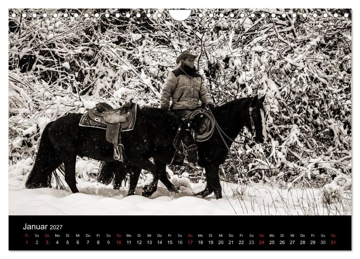 Bild: 9783569988620 | Westernreiten (Wandkalender 2027 DIN A4 quer), CALVENDO Monatskalender