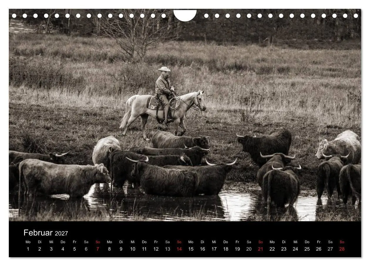Bild: 9783569988620 | Westernreiten (Wandkalender 2027 DIN A4 quer), CALVENDO Monatskalender