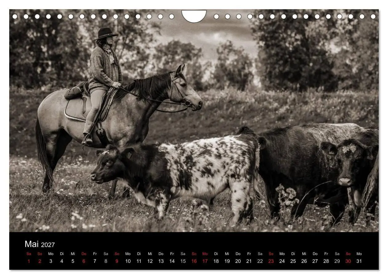 Bild: 9783569988620 | Westernreiten (Wandkalender 2027 DIN A4 quer), CALVENDO Monatskalender