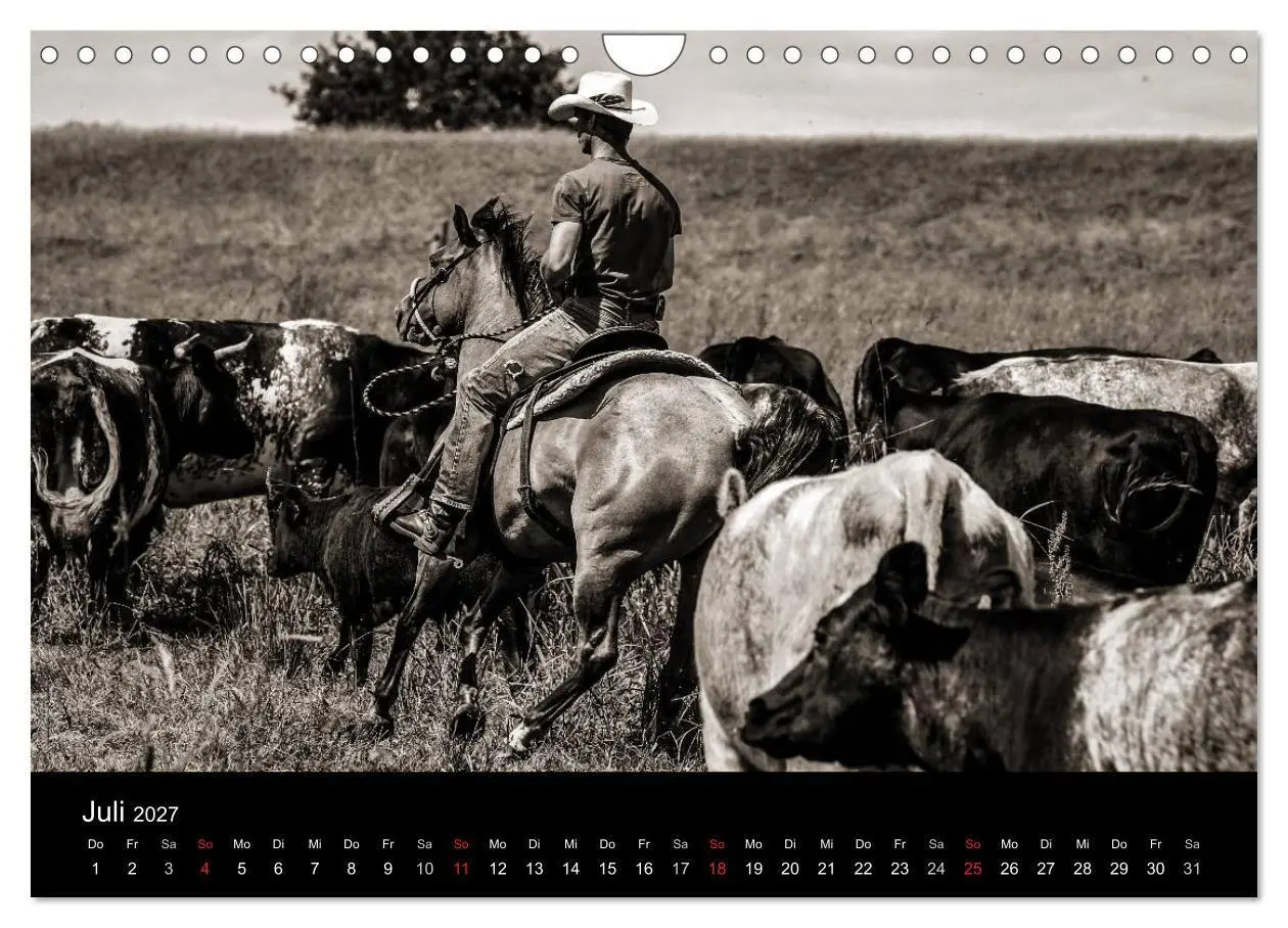 Bild: 9783569988620 | Westernreiten (Wandkalender 2027 DIN A4 quer), CALVENDO Monatskalender