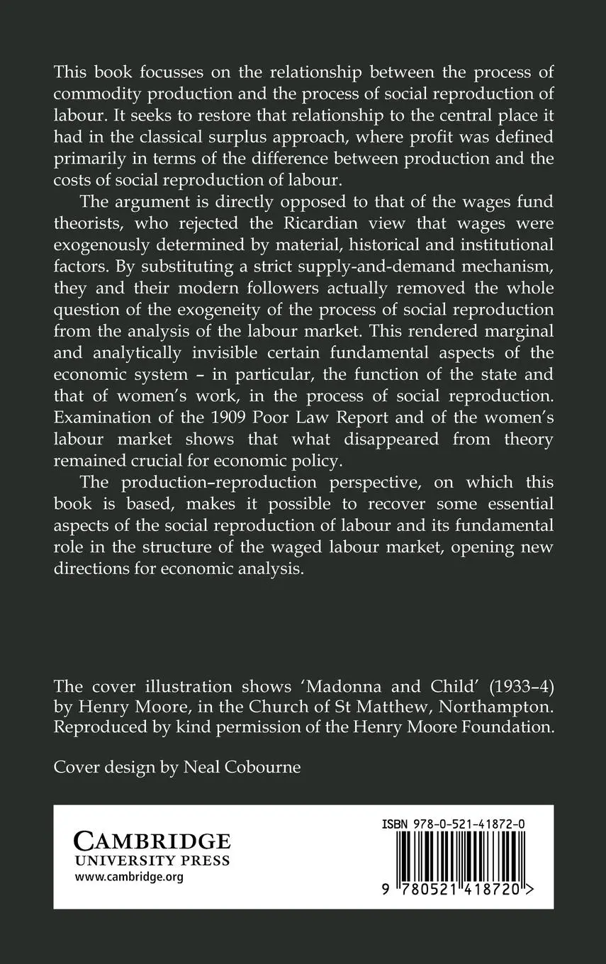 Rückseite: 9780521418720 | Social Reproduction | Antonella Picchio | Buch | Englisch | 2010