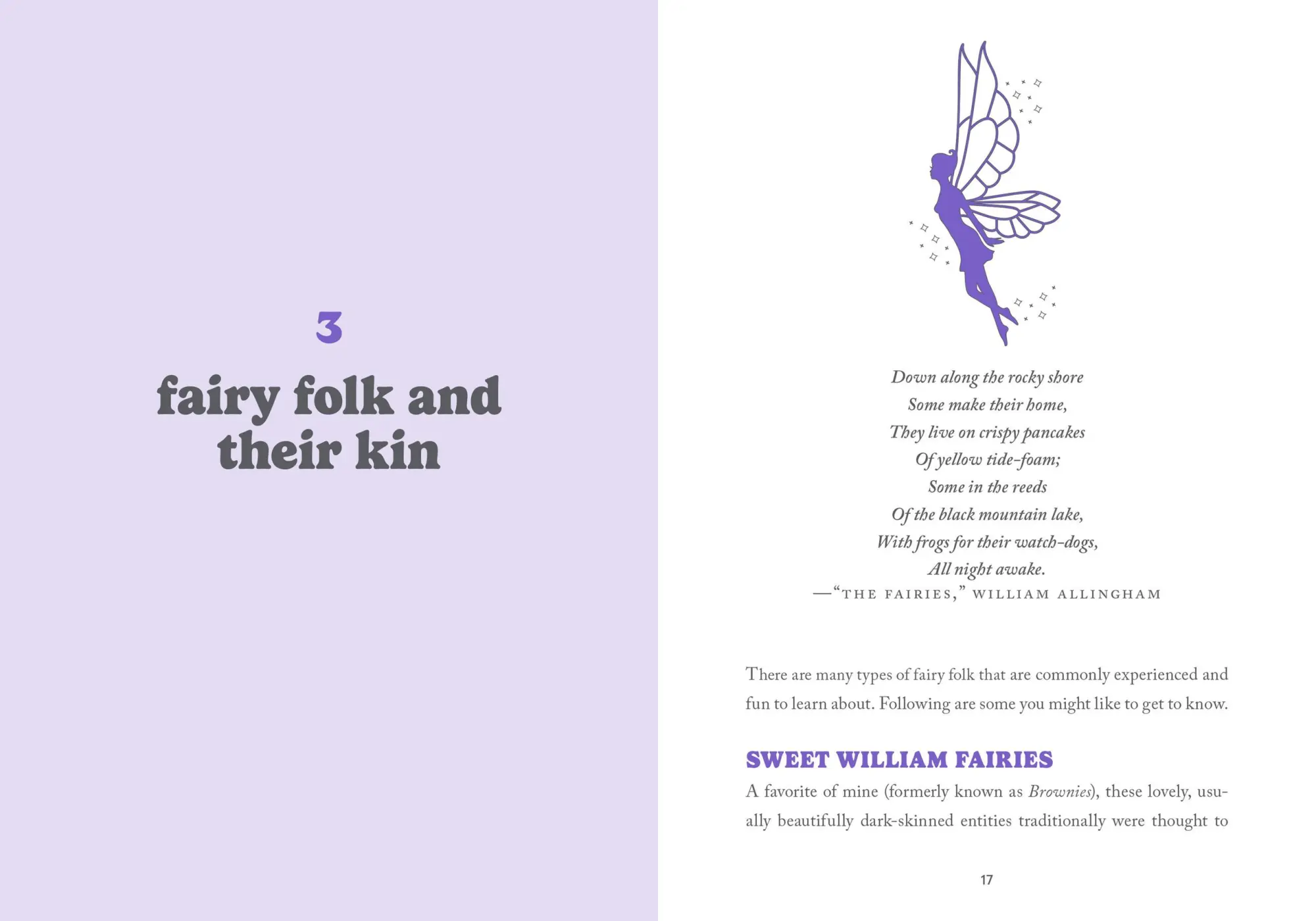 Bild: 9781454928720 | A Little Bit of Fairies | An Introduction to Fairy Magic | Clayton