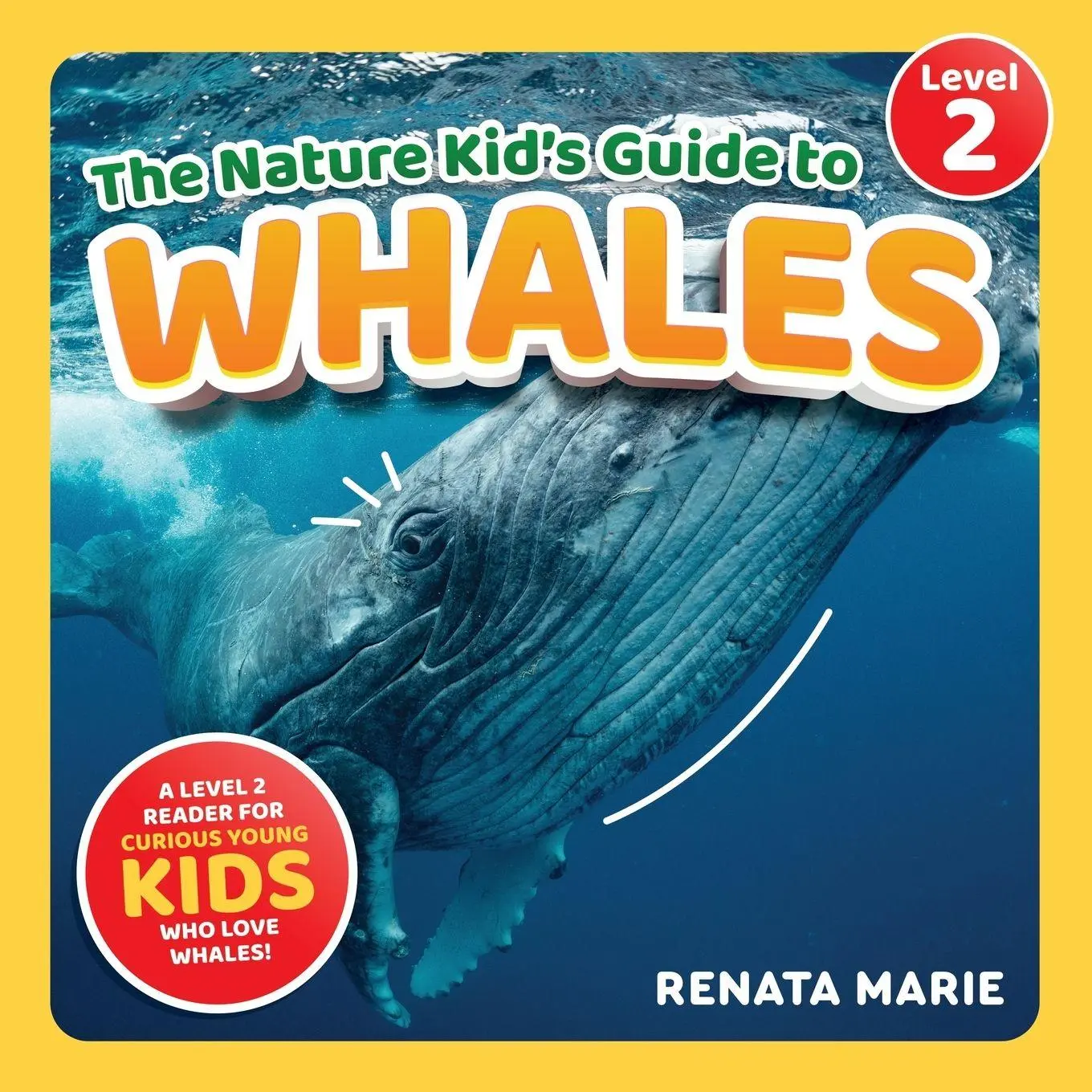 Cover: 9781954288720 | The Nature Kid's Guide to Whales | Renata Marie | Taschenbuch | 2023