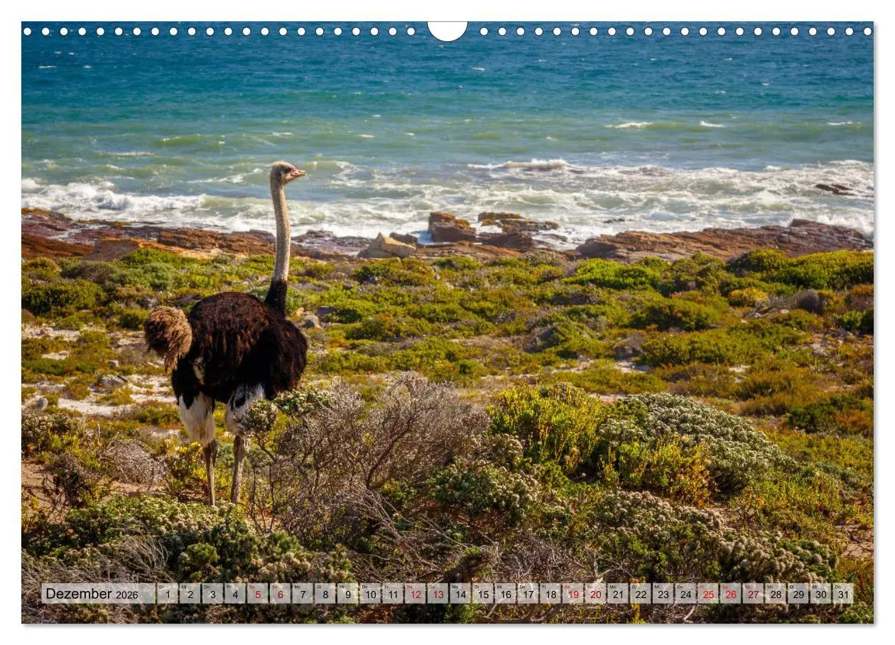 Bild: 9783457868720 | Südafrika: Kapstadt, Garden Route und Cape Winelands (Wandkalender...