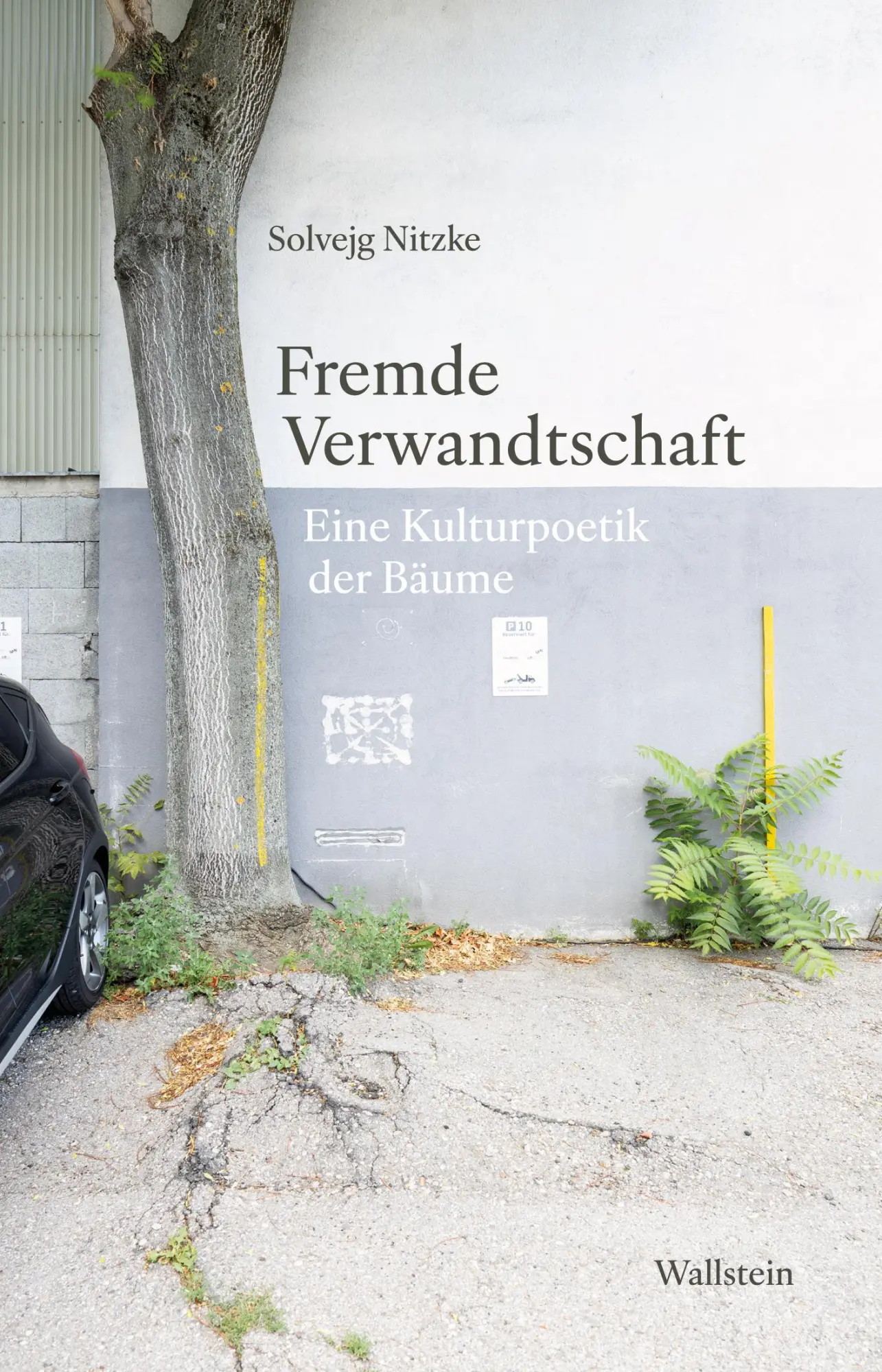 Cover: 9783835358720 | Fremde Verwandtschaft | Eine Kulturpoetik der Bäume | Solvejg Nitzke